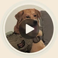 Deebo's NutZ — AI Deebo reel thumbnail