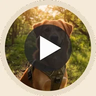 My NutZ, My Choice — AI Deebo reel thumbnail